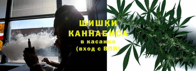 магазин продажи наркотиков  Асино  Шишки марихуана White Widow 